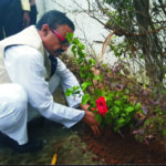 Plantation-Saahil.jpg